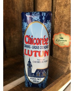 Chicorée Lutun en grain