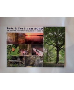 Carte Postale Bois et Forêts du Nord Carte Postale Bois et Forêts du Nord